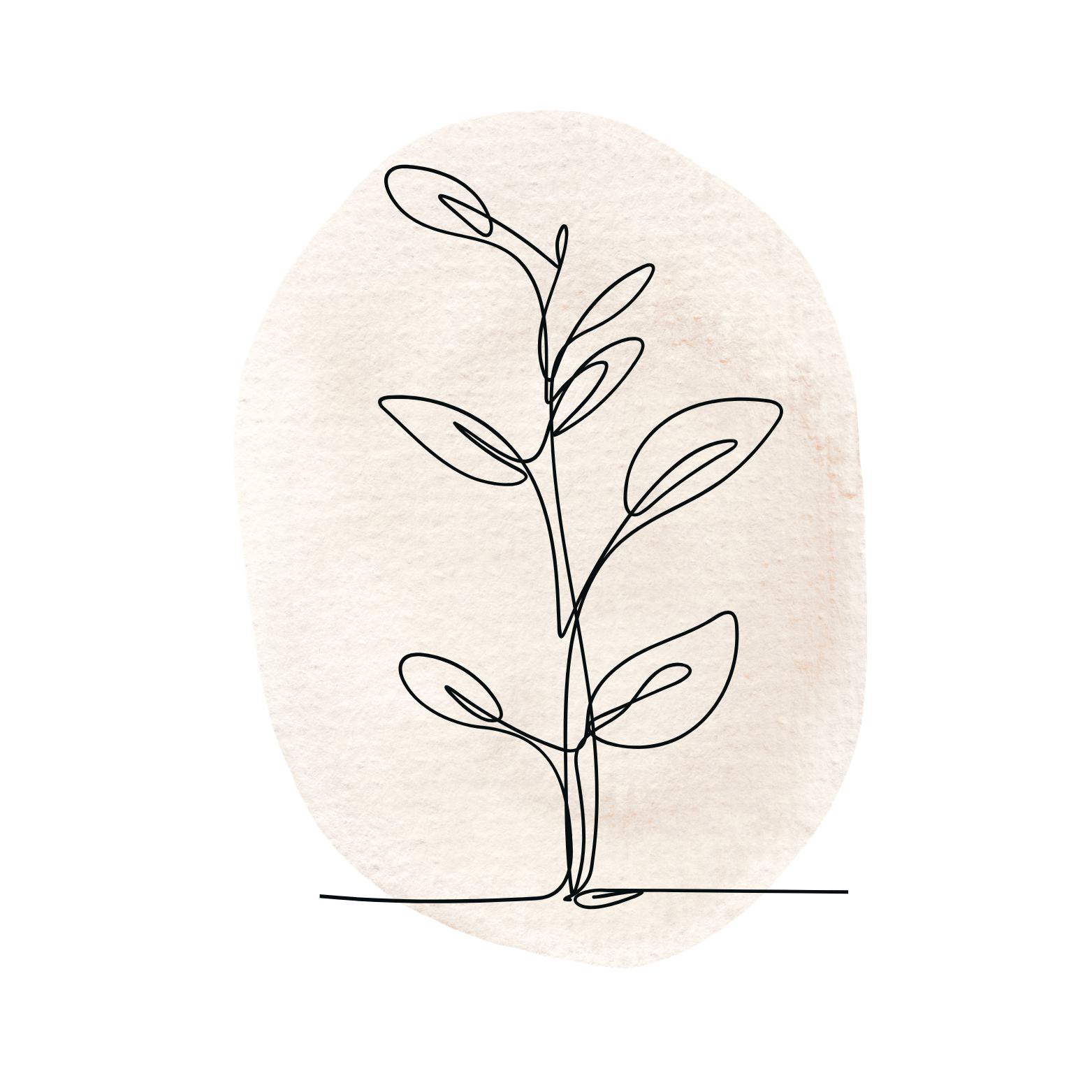 Step 04 icon